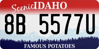 ID license plate 8B5577U