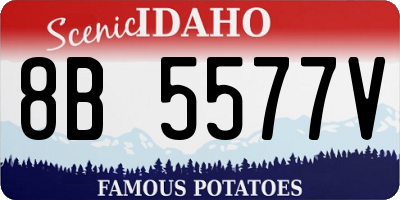 ID license plate 8B5577V