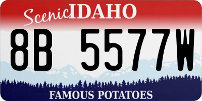 ID license plate 8B5577W