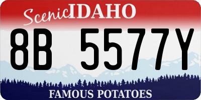 ID license plate 8B5577Y