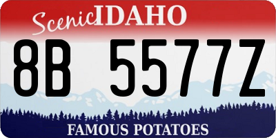 ID license plate 8B5577Z