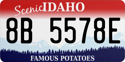 ID license plate 8B5578E