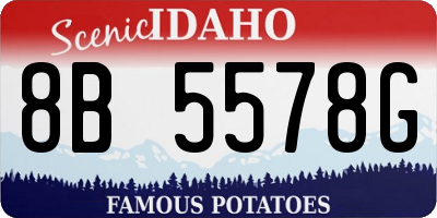 ID license plate 8B5578G