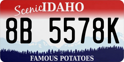 ID license plate 8B5578K