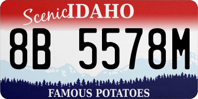 ID license plate 8B5578M