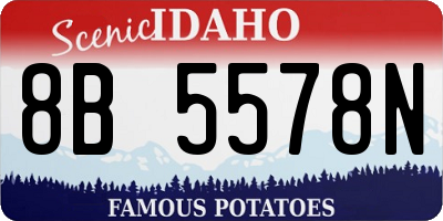 ID license plate 8B5578N