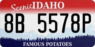 ID license plate 8B5578P
