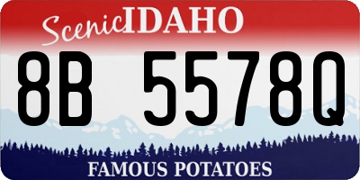 ID license plate 8B5578Q