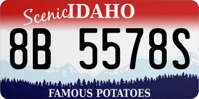 ID license plate 8B5578S