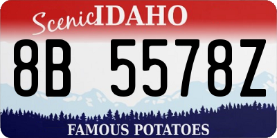 ID license plate 8B5578Z