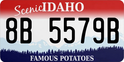 ID license plate 8B5579B