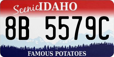 ID license plate 8B5579C