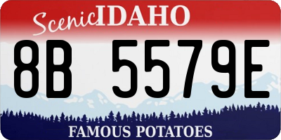 ID license plate 8B5579E
