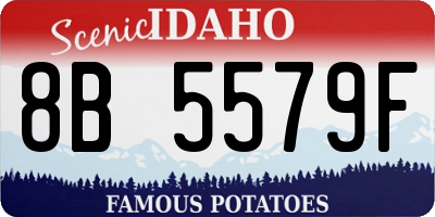 ID license plate 8B5579F