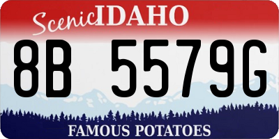 ID license plate 8B5579G