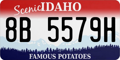 ID license plate 8B5579H