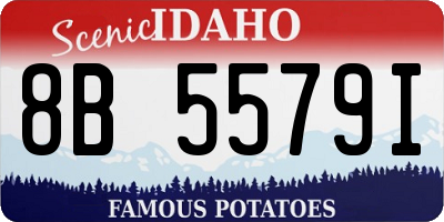 ID license plate 8B5579I