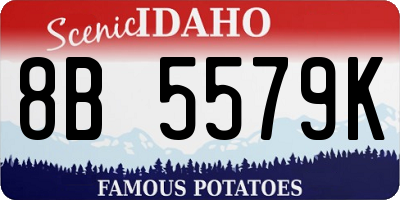 ID license plate 8B5579K