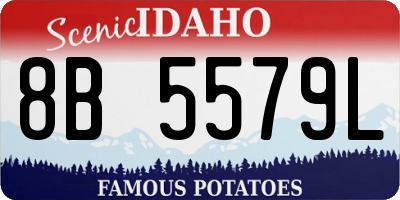 ID license plate 8B5579L