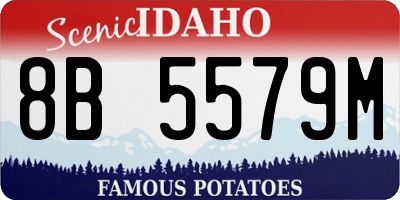 ID license plate 8B5579M
