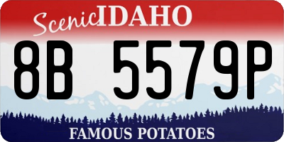 ID license plate 8B5579P