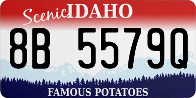 ID license plate 8B5579Q