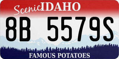 ID license plate 8B5579S