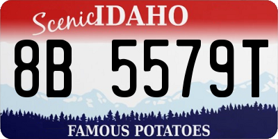 ID license plate 8B5579T