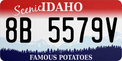 ID license plate 8B5579V
