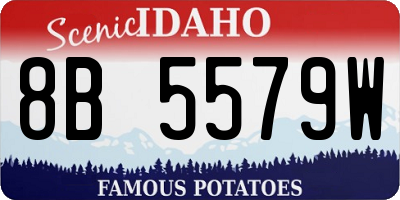 ID license plate 8B5579W