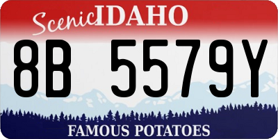 ID license plate 8B5579Y