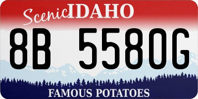 ID license plate 8B5580G