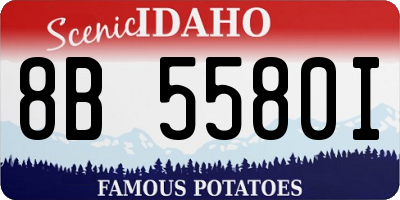 ID license plate 8B5580I
