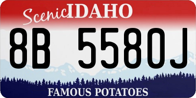 ID license plate 8B5580J