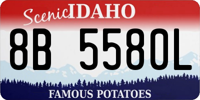 ID license plate 8B5580L