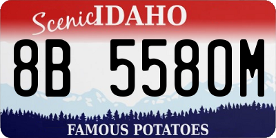 ID license plate 8B5580M