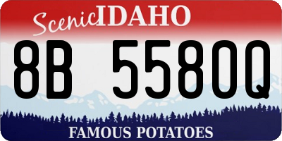 ID license plate 8B5580Q