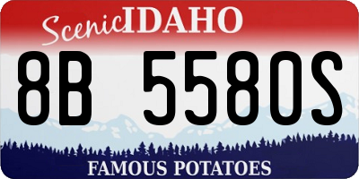 ID license plate 8B5580S