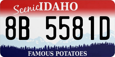 ID license plate 8B5581D