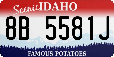ID license plate 8B5581J