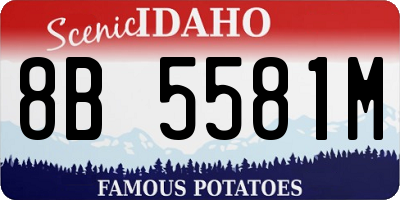 ID license plate 8B5581M