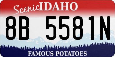 ID license plate 8B5581N