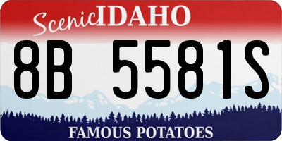 ID license plate 8B5581S