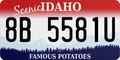 ID license plate 8B5581U