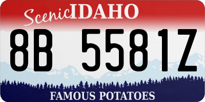 ID license plate 8B5581Z
