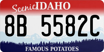 ID license plate 8B5582C