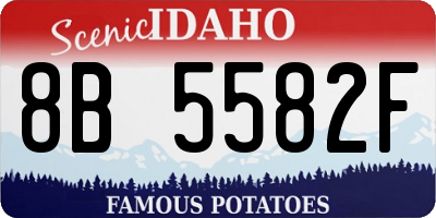 ID license plate 8B5582F