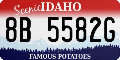 ID license plate 8B5582G