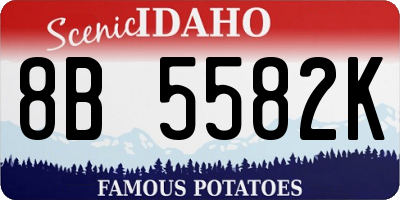 ID license plate 8B5582K