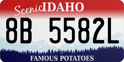 ID license plate 8B5582L
